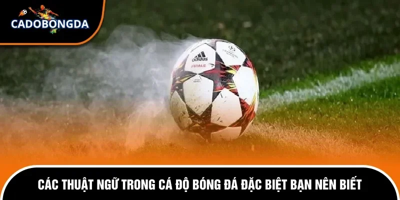 Các Thuật Ngữ Trong Cá Độ Bóng Đá Áp Dụng Cho Người Mới 3 Những thuật ngữ bóng đá đặc biệt nhất hiện nay