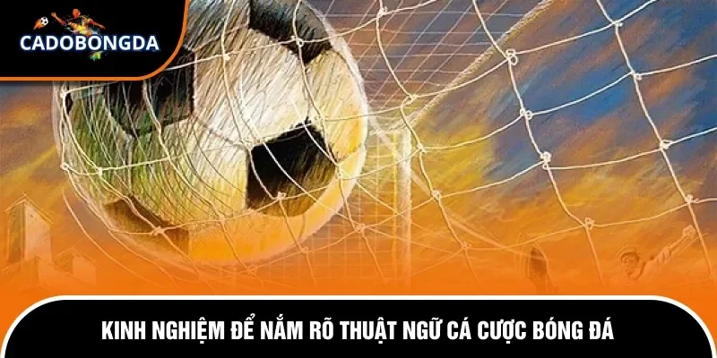 Các Thuật Ngữ Trong Cá Độ Bóng Đá Áp Dụng Cho Người Mới 2 Những thuật ngữ bóng đá phổ biến cho người mới