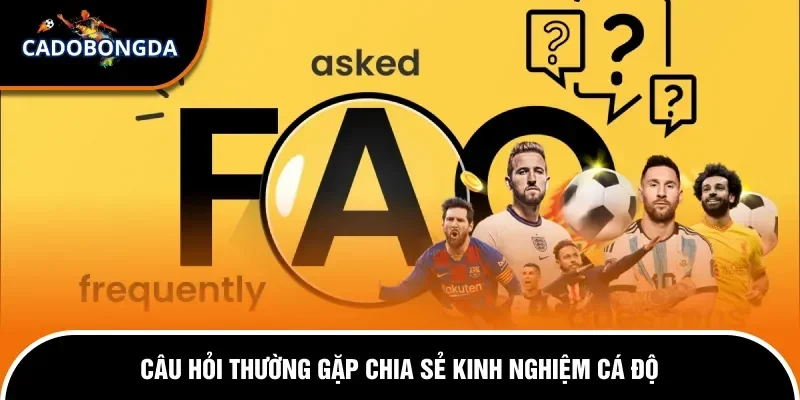 Câu Hỏi Thường Gặp 4 Giải đáp về thắc mắc xoay quanh kinh nghiệm cá độ