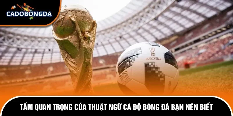 Các Thuật Ngữ Trong Cá Độ Bóng Đá Áp Dụng Cho Người Mới 1 Mức độ quan trọng của thuật ngữ trong cá độ thể thao bóng đá
