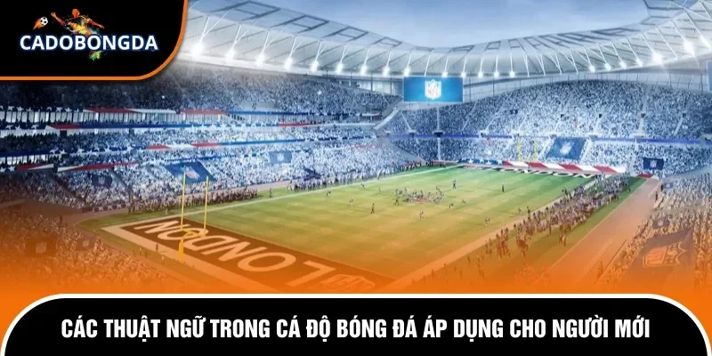 các thuật ngữ trong cá độ bóng đá