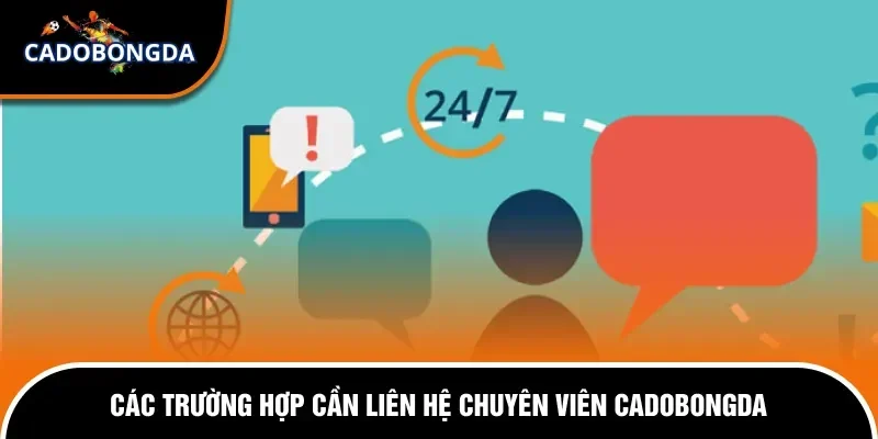 Liên Hệ 1 Những trường hợp cần liên hệ với Cadobongda