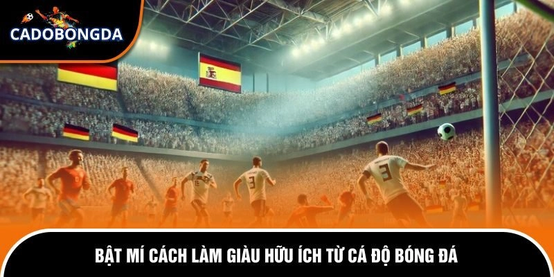 Làm Giàu Từ Cá Độ Bóng Đá - Sự Thật Hay Ảo Tưởng Chi Tiết 3 Những quy định hội viên phải nắm rõ