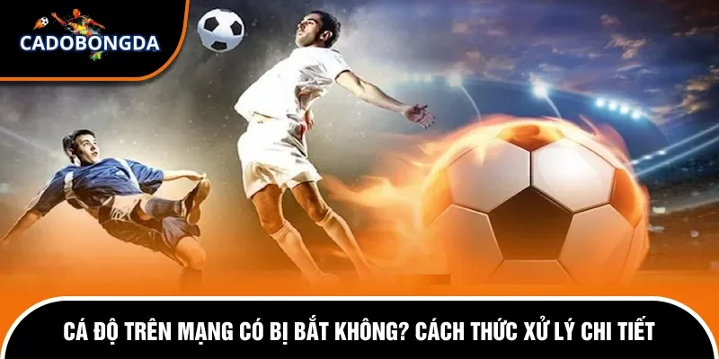 Cá độ trên mạng có bị bắt không