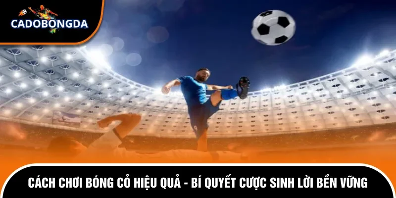 Cách chơi bóng cỏ hiệu quả.