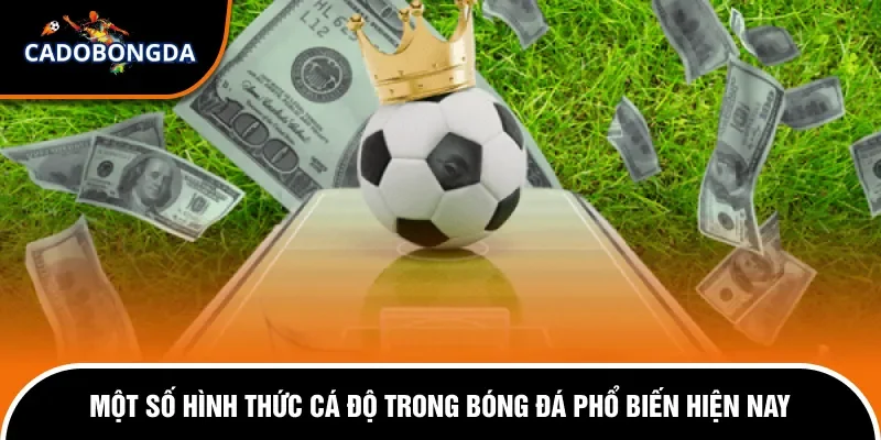 Cách Tính Tiền Cược Trong Cá Độ Bóng Đá Chi Tiết Nhất 1 Một số kiểu chơi cá độ bóng đá được yêu thích nhất