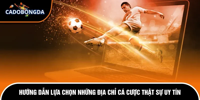 Cá Độ Trên Mạng Có Bị Bắt Không? Cách Thức Xử Lý Chi Tiết 3 Hướng dẫn tham gia địa chỉ cá độ trên mạng được yêu thích