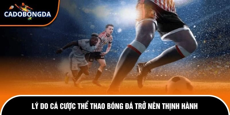 Làm Giàu Từ Cá Độ Bóng Đá - Sự Thật Hay Ảo Tưởng Chi Tiết 1 Tại sao cá cược thể thao được yêu thích?