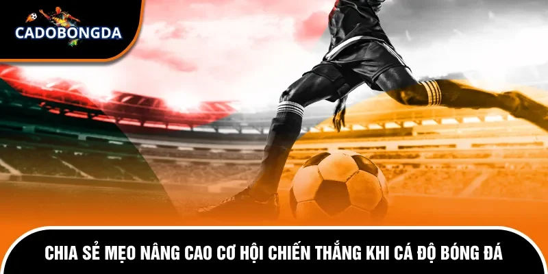 Tại Sao Cá Độ Bóng Đá Luôn Thua Và Giải Đáp Chi Tiết 2 Mẹo chơi cá cược bóng đá newbie nên áp dụng