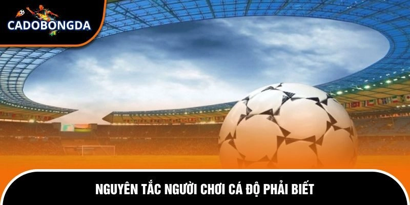 Làm Giàu Từ Cá Độ Bóng Đá - Sự Thật Hay Ảo Tưởng Chi Tiết 2 Giải đáp thắc mắc có thể làm giàu từ cá độ bóng đá