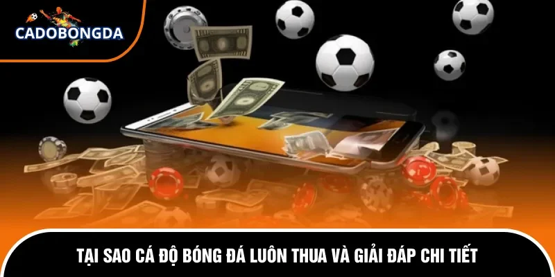 Tại sao cá độ bóng đá luôn thua.