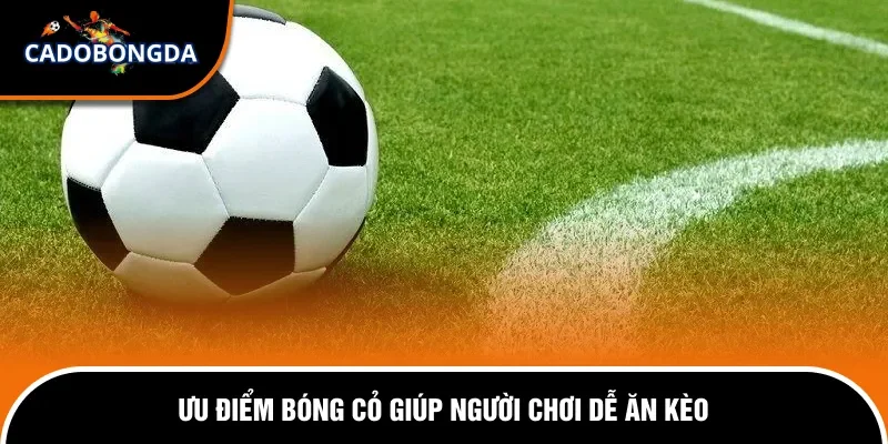 Cách Chơi Bóng Cỏ Hiệu Quả - Bí Quyết Cược Sinh Lời Bền Vững 1 Ưu điểm bóng cỏ giúp người chơi dễ ăn kèo.