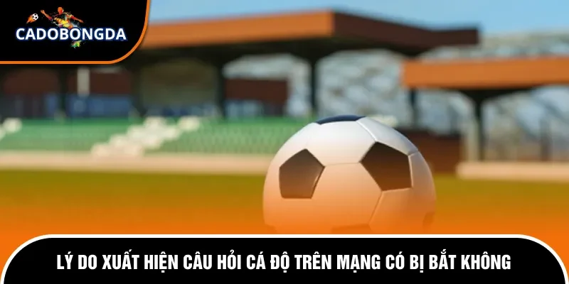 Cá Độ Trên Mạng Có Bị Bắt Không? Cách Thức Xử Lý Chi Tiết 2 Lý do xuất hiện tin đồn cá độ trên mạng bị bắt